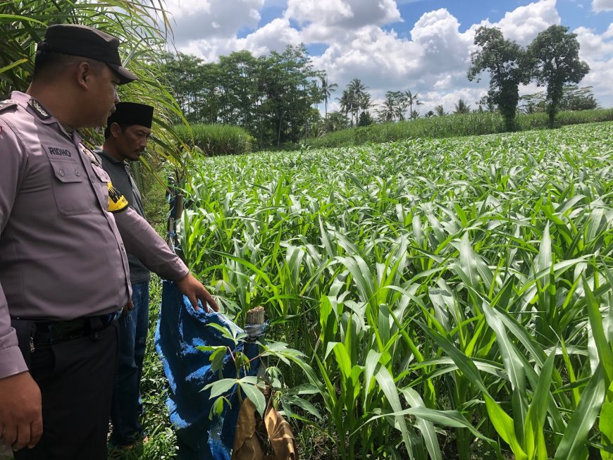 Polres Malang Libatkan Polisi di Desa untuk Dukung Ketahanan Pangan